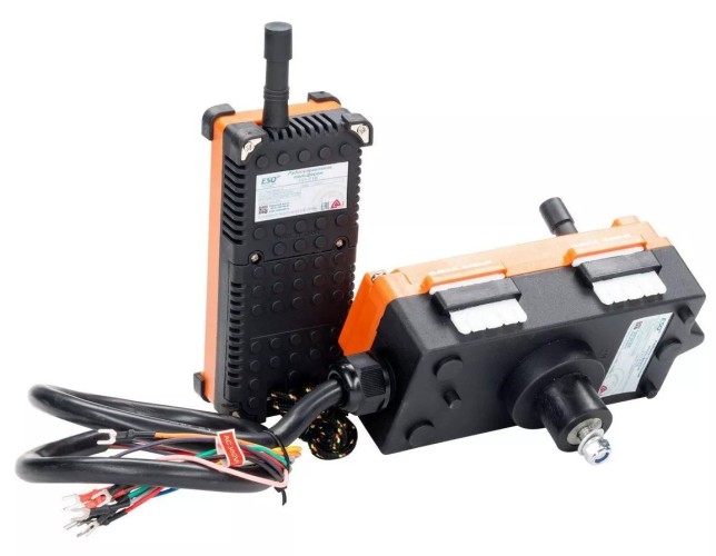 Пульт радиоуправления ESQ F21-E1B 20.04.000055 - изображение 2