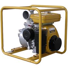 Мотопомпа Robin PTX 401 T - изображение 2