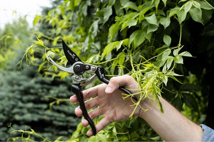 Секатор PLANTIC Pro84 плоскостной 35384-01 - изображение 3