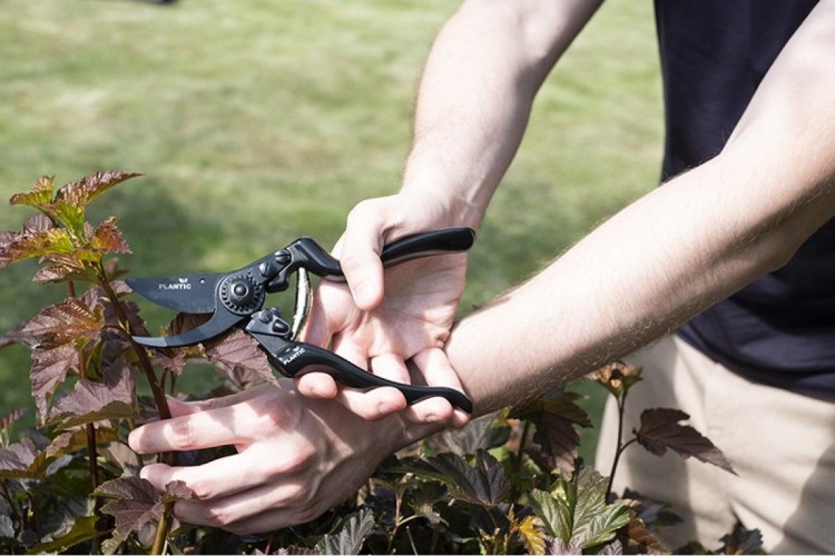 Секатор PLANTIC Pro85 плоскостной 35385-01 - изображение 5