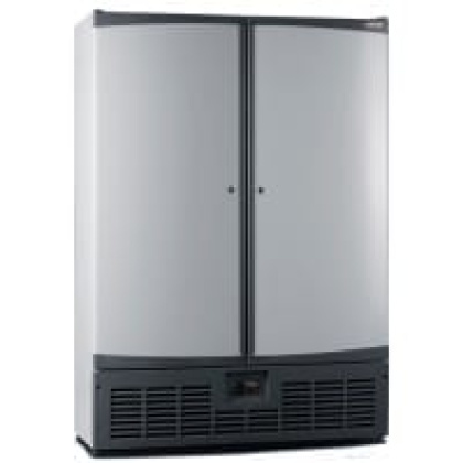 ШКАФ морозильный R1520L на пропане - изображение 1