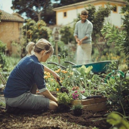 Совок посадочный FISKARS XactTM 1027043 1027043 - изображение 3