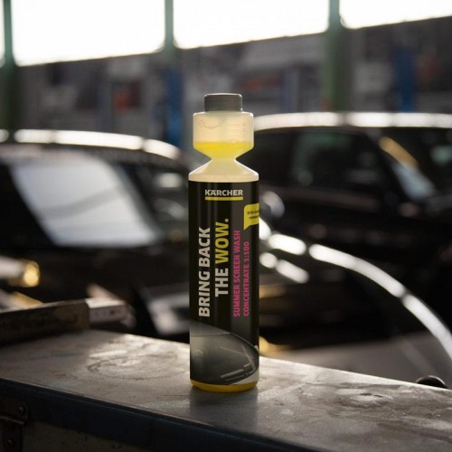 Средство специальное KARCHER RM 672 летняя стеклоомывающая ж-сть,0,25 6.296-110.0 - изображение 2