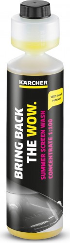 Средство специальное KARCHER RM 672 летняя стеклоомывающая ж-сть,0,25 6.296-110.0