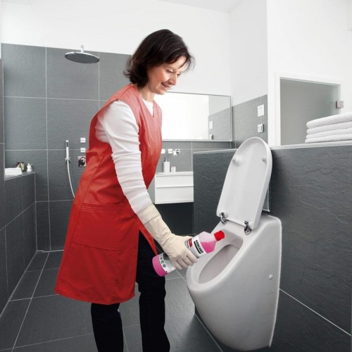 Средство специальное KARCHER SanitPro CA 10 C eco!perform (5 л) чистящее 6.295-678.0 - изображение 3