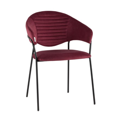 Стул-кресло «Алекса» с мягким сиденьем (окрашенный каркас) - изображение 2