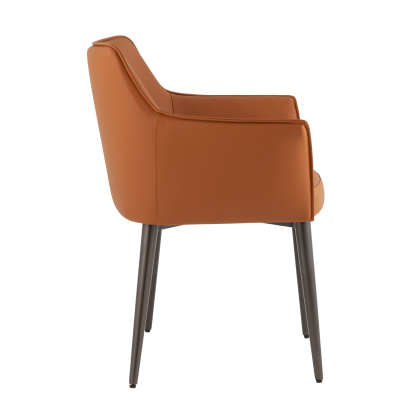 Стул-кресло «Флан» с мягким сиденьем (окрашенный металлокаркас) - изображение 5