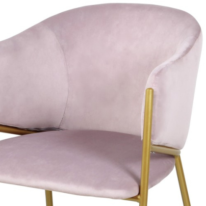 Стул «Муза» с мягким сиденьем (окрашенный каркас) - изображение 2