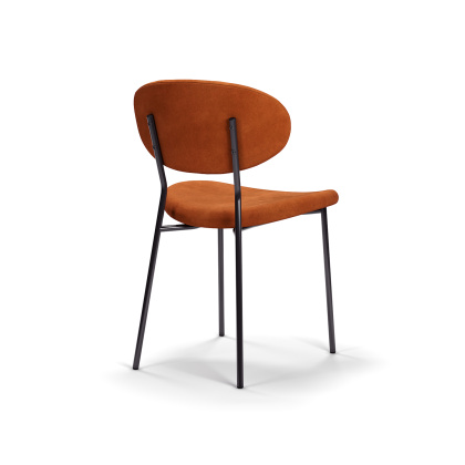 Стул «Neva» с мягким сиденьем (окрашенный каркас) - изображение 2