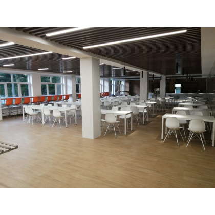 Стул пластиковый «ST29/S37» с жестким сиденьем (окрашенный каркас) - изображение 4