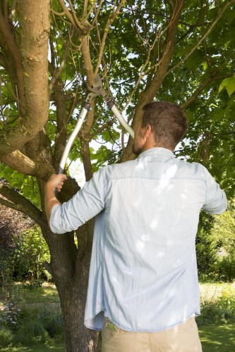 Сучкорез GARDENA Premium 700 B 08710-20.000.00 - изображение 4