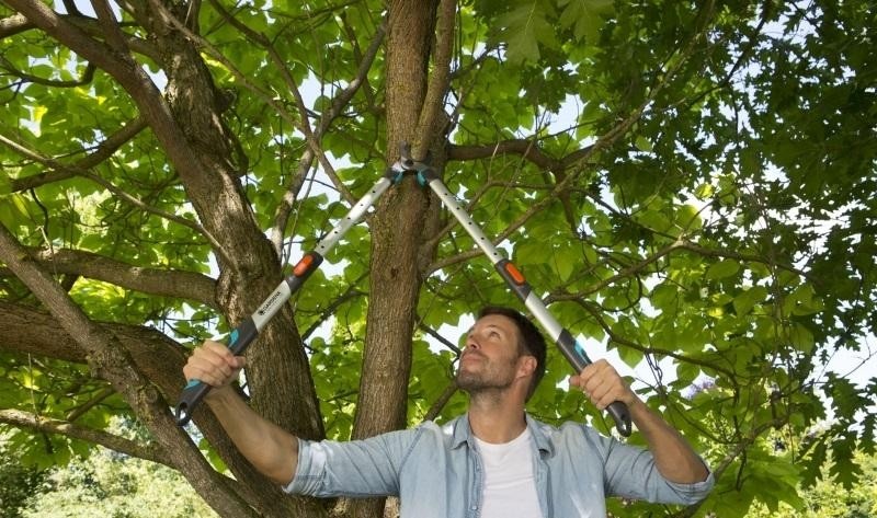 Сучкорез GARDENA TeleCut 650-900B, телескопический 12009-20.000.00 12009-20.000.00 - изображение 3