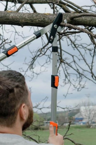 Сучкорез PLANTIC 25280-01 телескопический pro80 - изображение 5