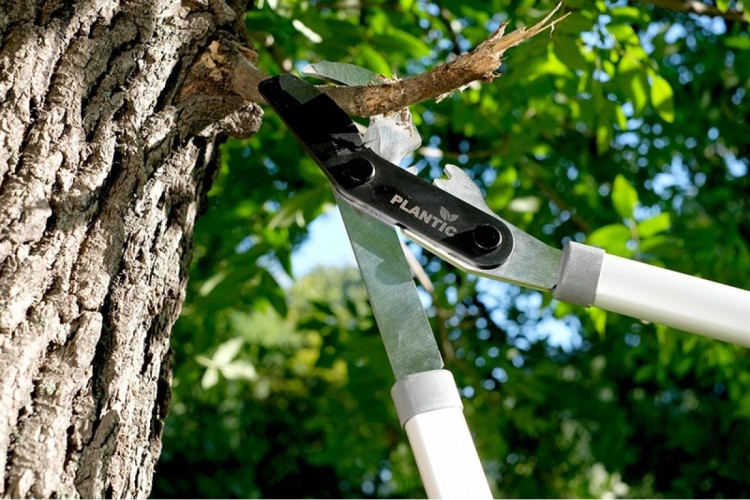 Сучкорез PLANTIC Light L71 плоскостной, телескопический 25271-01 - изображение 3