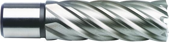 Сверло по металлу корончатое D.BOR (3/4''), HSS-Co, 31,0*55/70 мм с хв. weldon 19 мм  W-041-474310202D