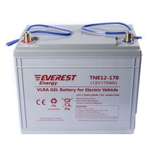 Тяговый аккумулятор TNE 12-170 - изображение 4