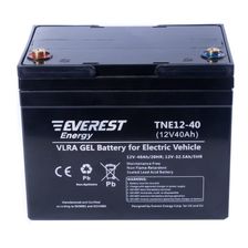 Тяговый аккумулятор TNE 12-40 - изображение 3