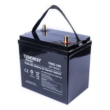 Тяговый аккумулятор TNE 6-190 - изображение 3