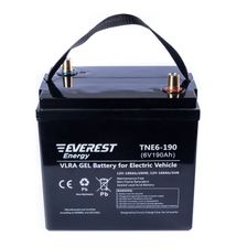 Тяговый аккумулятор TNE 6-190 - изображение 4