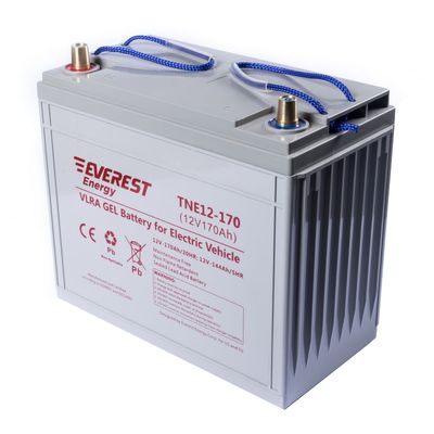 Тяговый аккумулятор TNE 6-190 - изображение 5