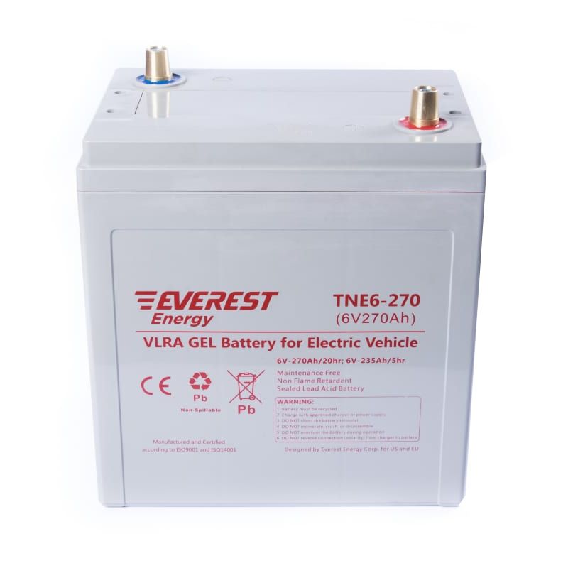 Тяговый аккумулятор TNE 6-270 - изображение 2