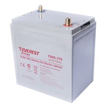 Тяговый аккумулятор TNE 6-270 - изображение 3
