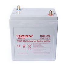 Тяговый аккумулятор TNE 6-270 - изображение 4