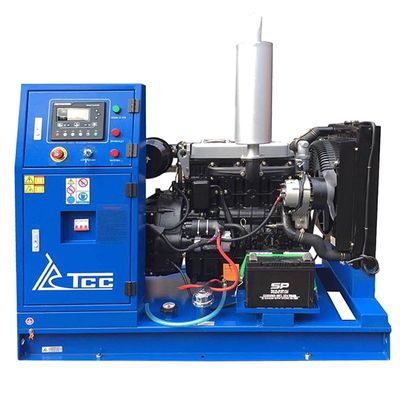 Дизельный генератор TSS АД-24С-Т400-1РМ19 - изображение 8