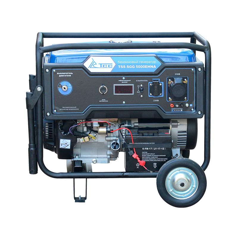 Бензогенератор TSS SGG 5000EHNA - изображение 2