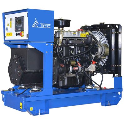 Бензогенератор TSS SGG 9000ELA - изображение 7