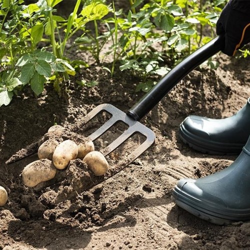 Вилы PLANTIC 24400-01 terra - изображение 5