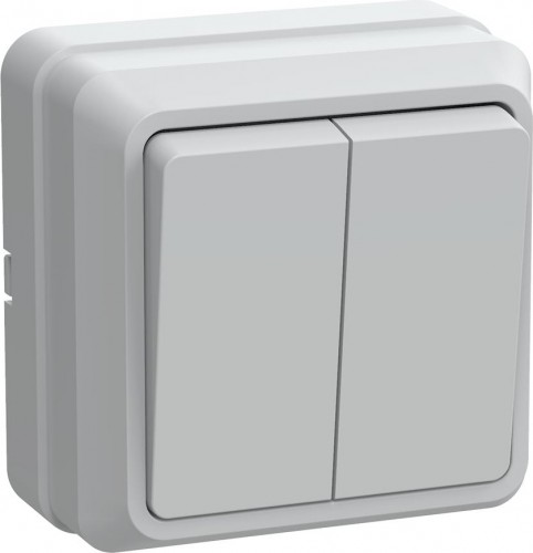 Выключатель 2-клавишный IEK ВС20-2-0-ОБ 10А ОКТАВА для открытой установки белый EVO20-K01-10-DC