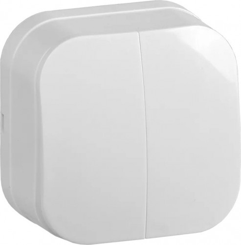 Выключатель двухклавишный IEK GLORY ВС20-2-0-ХБ 10А белый EVH20-K01-10