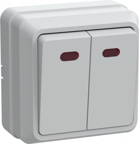 Выключатель двухклавишный IEK Октава ВС20-2-1-ОБ 10А IP20 с индикацией, белый EVO21-K01-10-DC