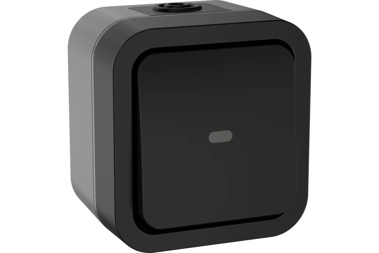 Выключатель IEK TORS 1-кл. ОП 10А IP55 TS102 с индикацией графит  TS-V10-1-10-55-K53