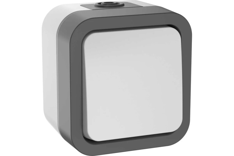 Выключатель IEK TORS 1-кл. ОП 2п 10А IP55 TS211 бел.  TS-V16-0-10-55-K41