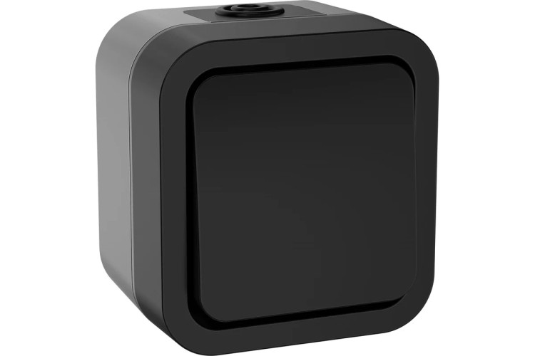 Выключатель IEK TORS 1-кл. ОП 10А IP55 TS101 графит  TS-V10-0-10-55-K53