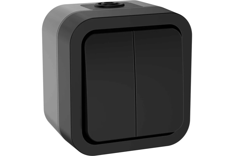 Выключатель IEK TORS 2-кл. ОП 10А IP55 TS105 графит TS-V20-0-10-55-K53