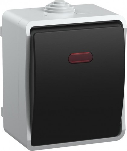 Выключатель одноклавишный IEK Форс ВС20-1-1-ФСр 10А IP54 с индикацией, серый EVS11-K03-10-54-DC