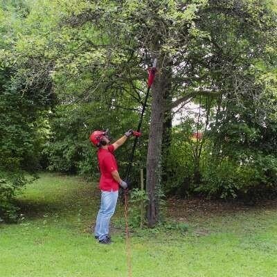 Высоторез EINHELL GC-EC 750 T электрический 4501210 - изображение 4