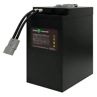 Тяговая аккумуляторная батарея  XUPAI 24V100Ah - изображение 5