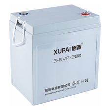 Тяговая аккумуляторная батарея  XUPAI 3-EVF-200 - изображение 2