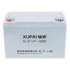 Тяговая аккумуляторная батарея  XUPAI 6-EVF-100 - изображение 2
