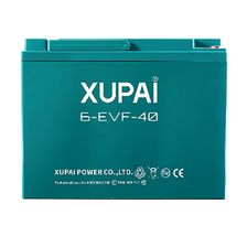 Тяговая аккумуляторная батарея  XUPAI 6-EVF-40 - изображение 2