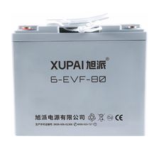 Тяговая аккумуляторная батарея  XUPAI 6-EVF-80 - изображение 2