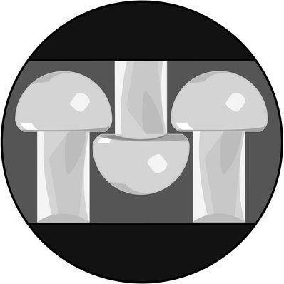 Застежка многоразовая 3M SJ4570 Dual Lock прозрачная 25 мм х 60 мм 4607166908216 - изображение 3