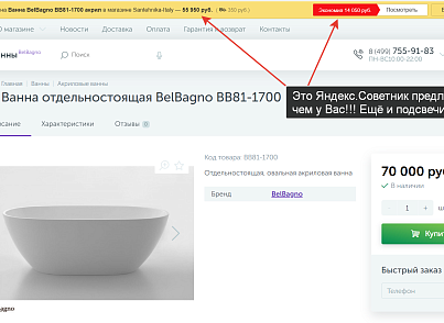 СтопСоветник - Удаляет Яндекс.Советник на вашем сайте