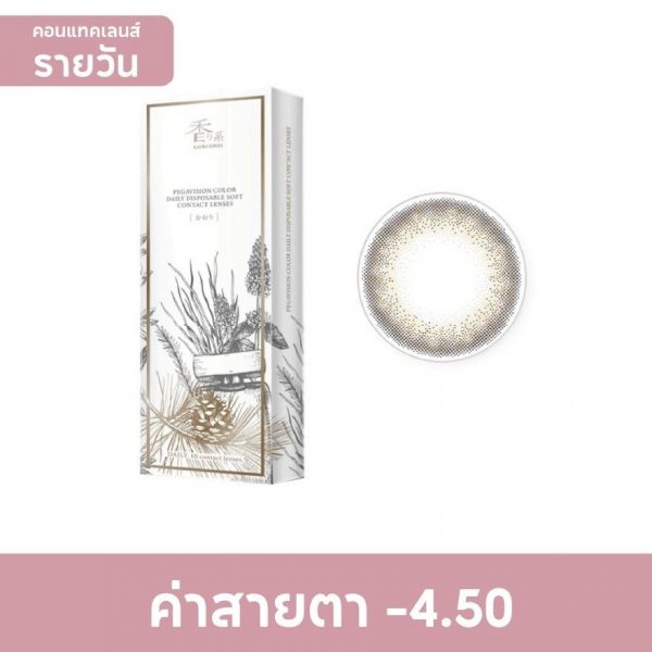 Pegavision Daily Kaori Laurel Brown -4.50 (10 шт.) - Pegavision Daily Kaori Laurel Brown -4.50 (10 pcs)