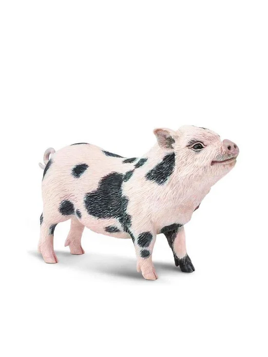 image_cds13431419_1_3e37150e2d