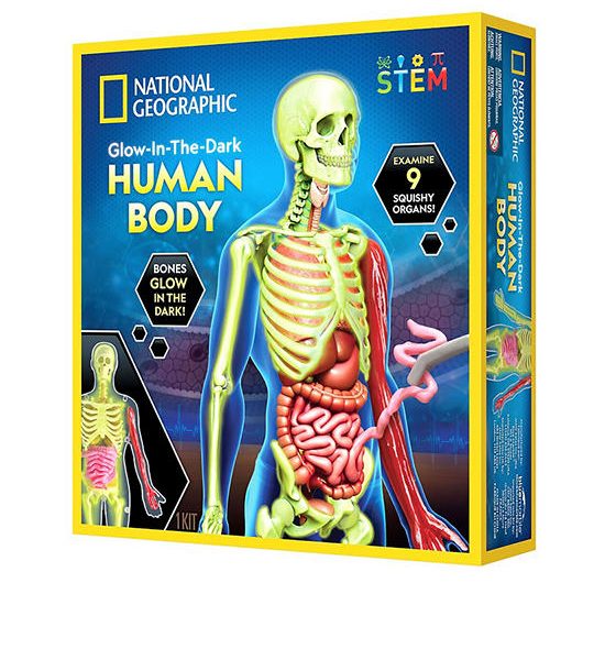 NATIONAL GEOGRAPHIC Toy Human Body Science Kit Multi-Color. 100% оригинал